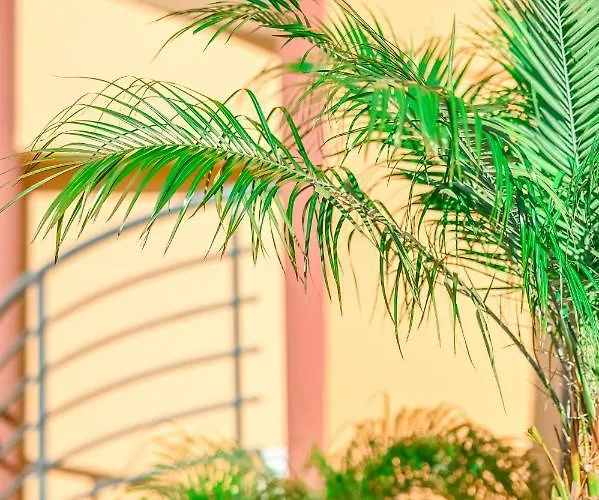 Villa Coo Boutique Hotel - Adults Only 4* Miasto Kos