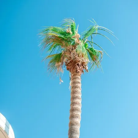 Kos City Apartments شقة فندقية