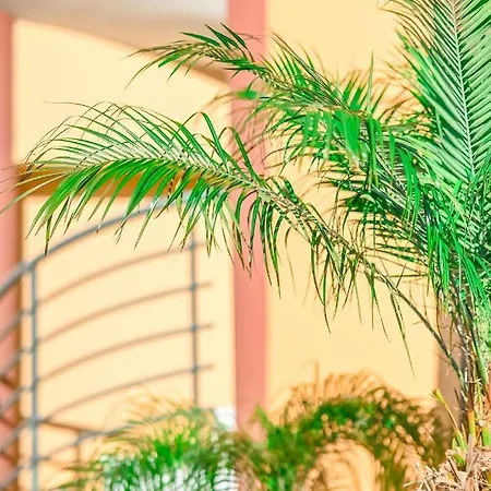 Kos City Apartments * بلدة كوس
