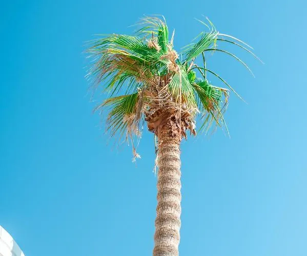 Kos City Apartments Apartmanhotel